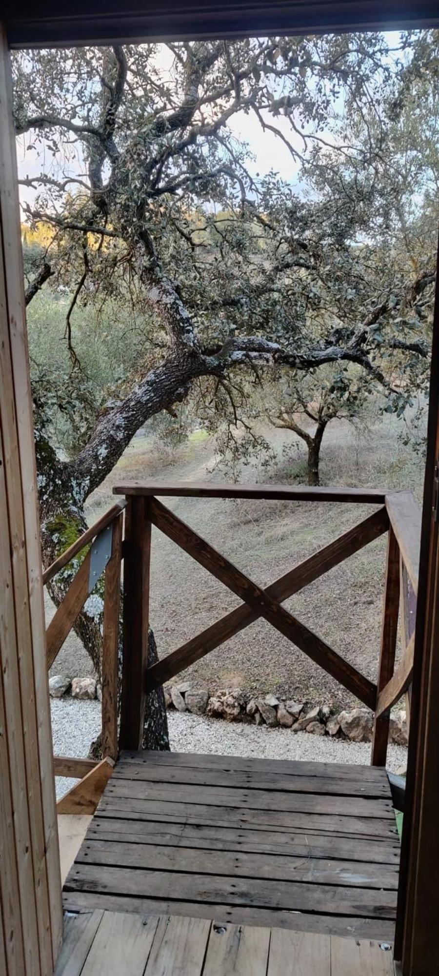 Del Arbol Lavagarural Tente de luxe Villanueva del Rosario