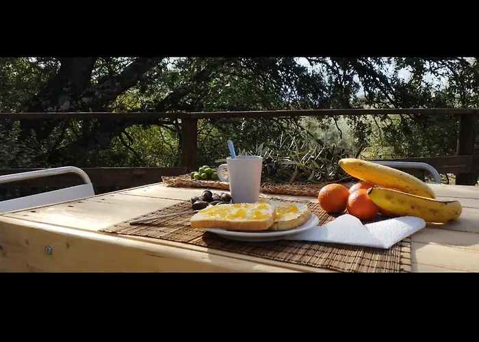 Cabana Del Arbol Lavagarural