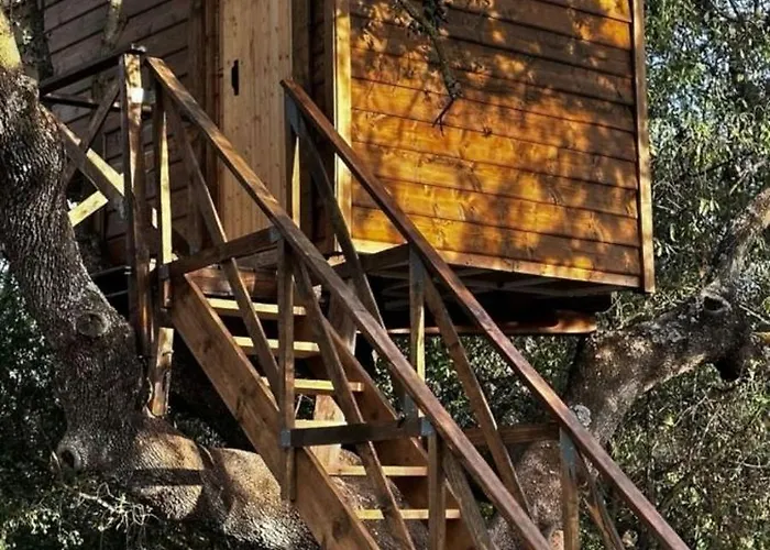 Cabana Del Arbol Lavagarural