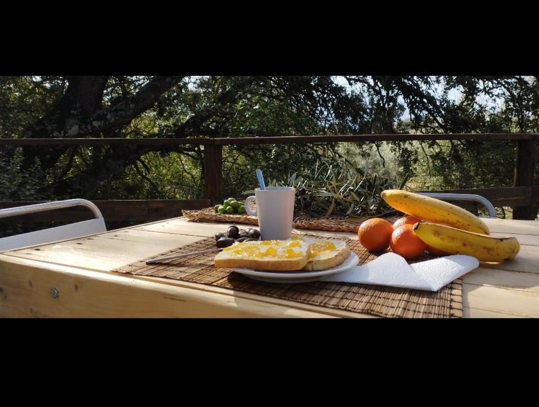 Luxury tent Del Arbol Lavagarural *