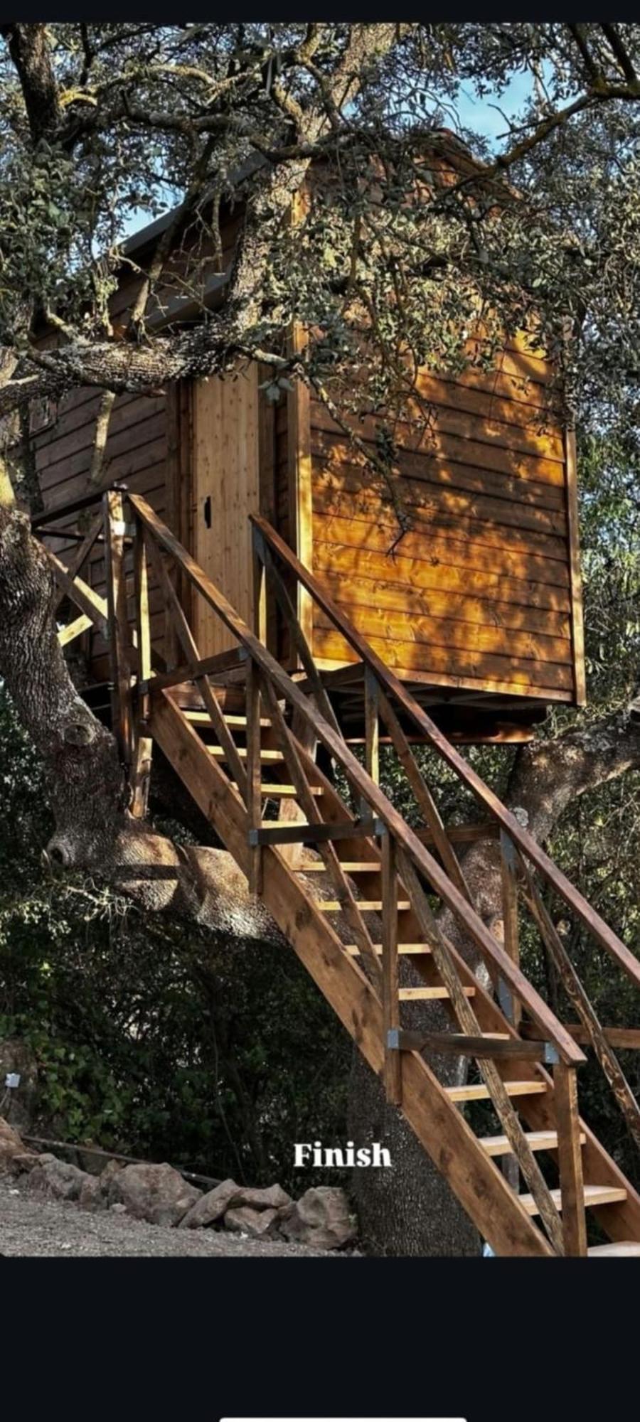Luxury tent Del Arbol Lavagarural *