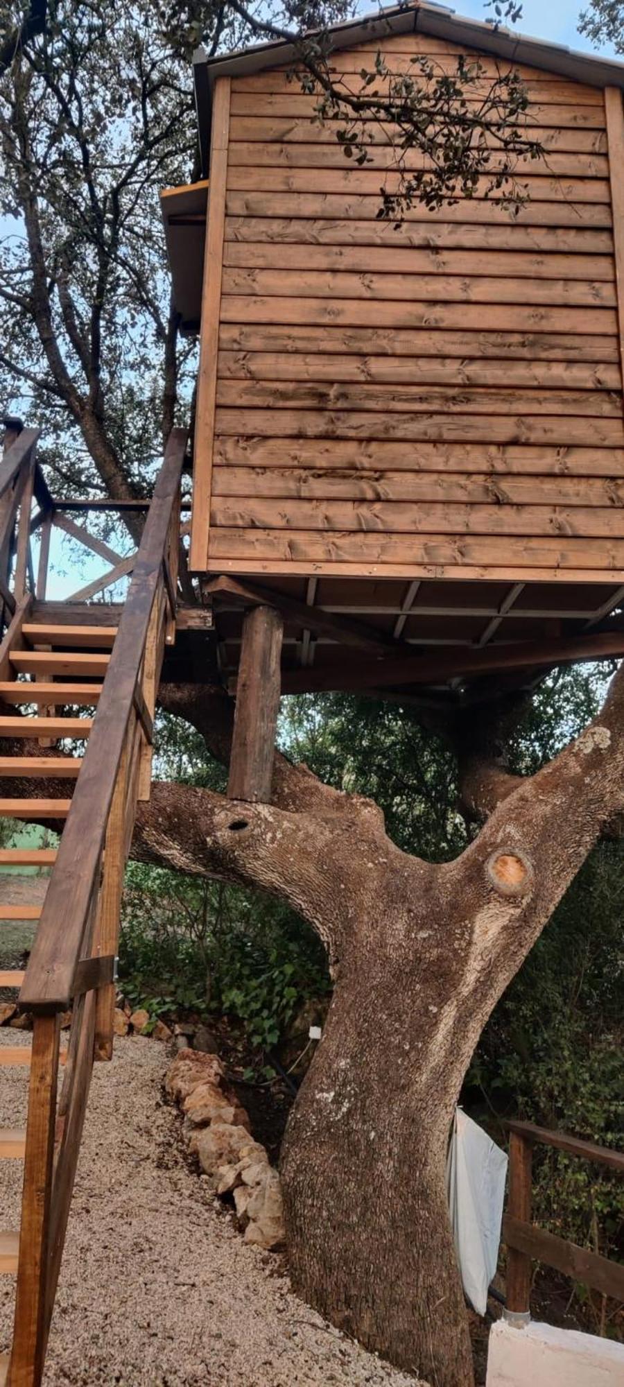 Del Arbol Lavagarural Luxury tent